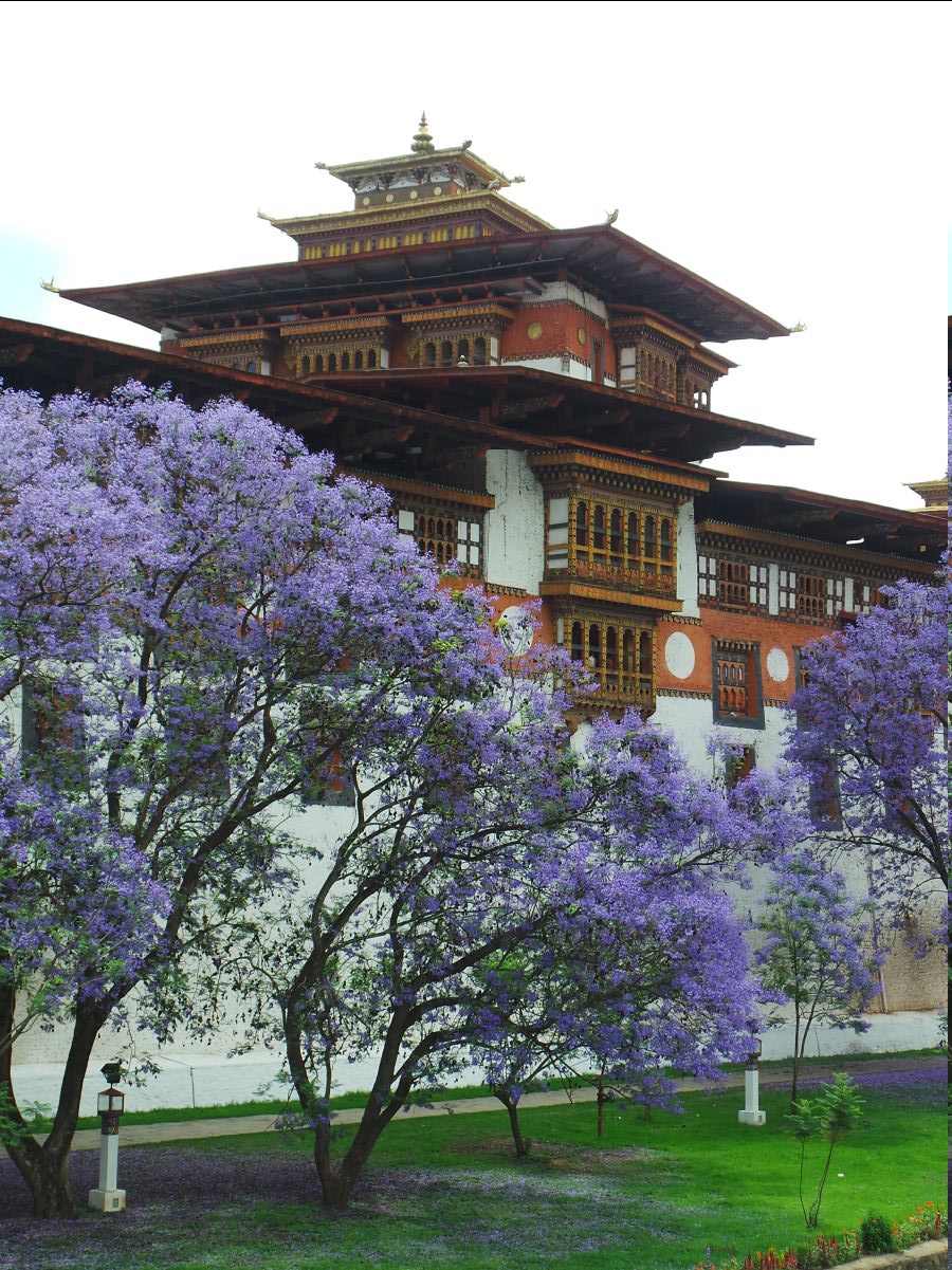 Punakha Dzong29